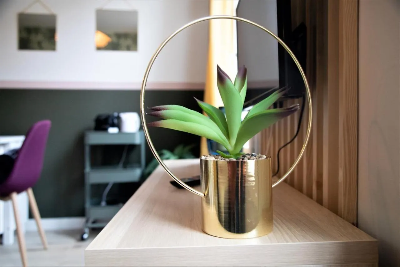 Appartement LE RIQUET 204 - Hypercentre - Gare à Toulouse